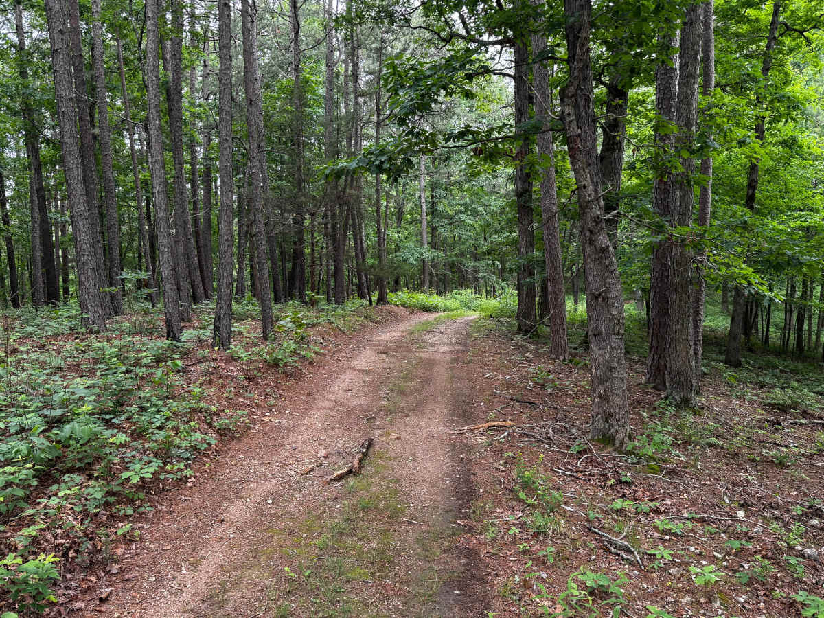 Ashley trail photo
