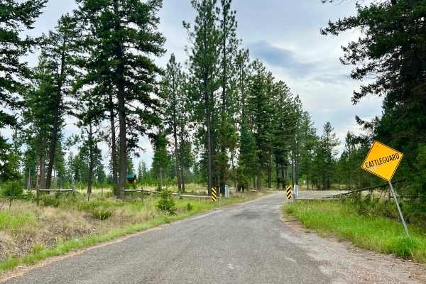 Dorr Cut-off Road