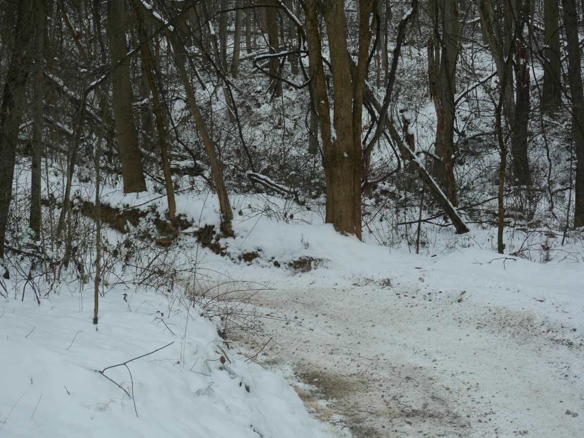 Trail 42 photo 4