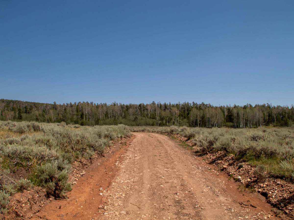 Charleys Park - FS 10234 photo 5
