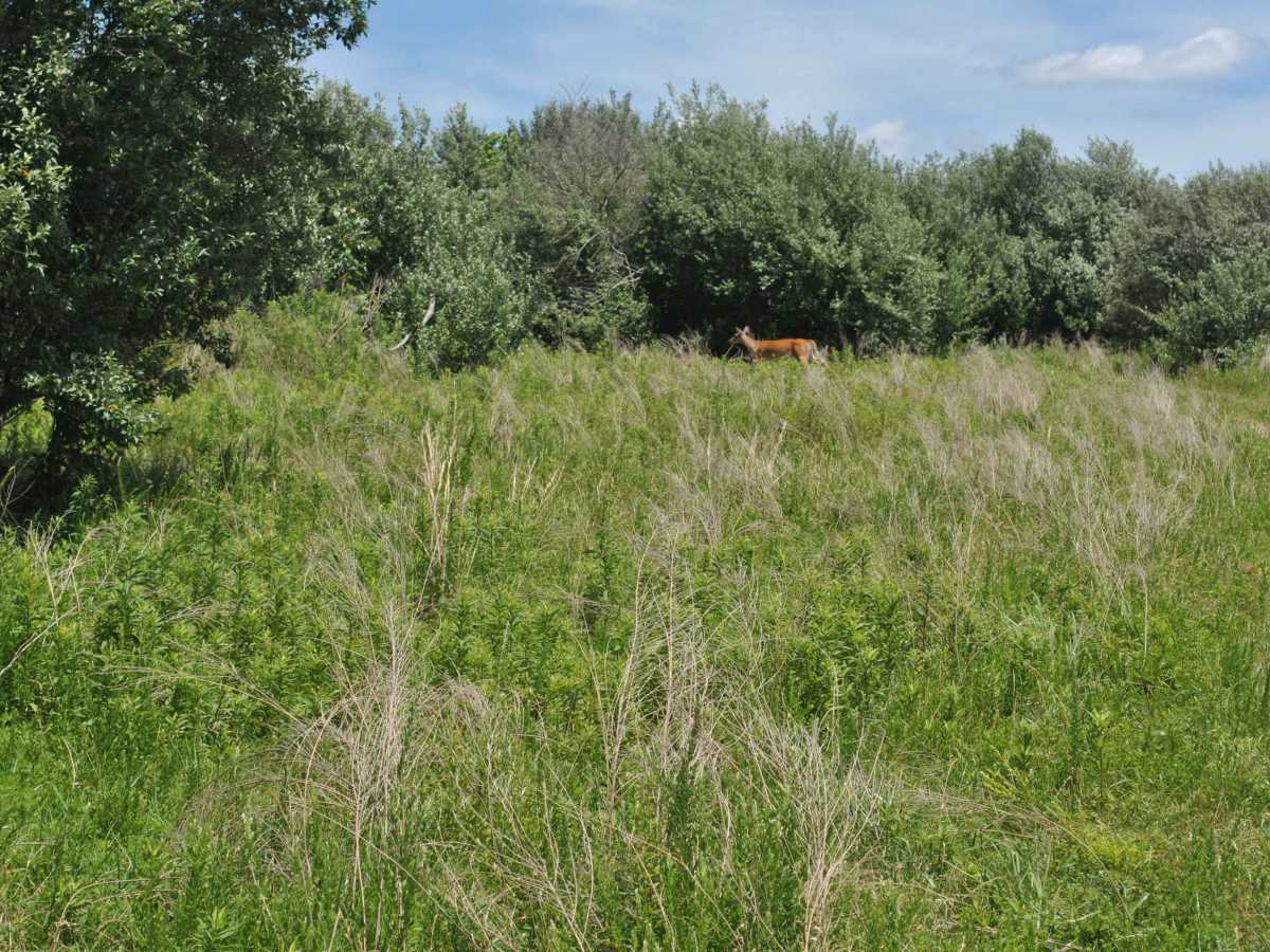 25B photo 2