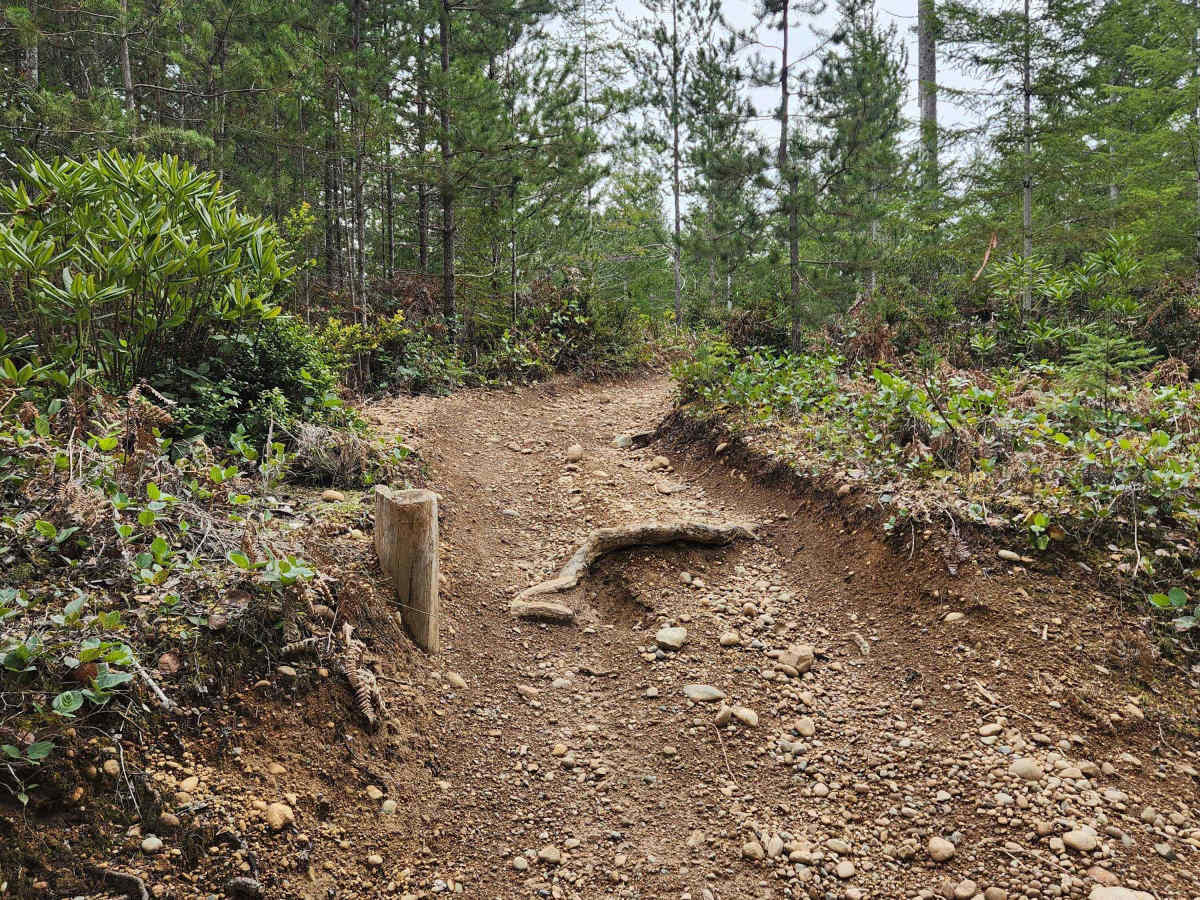 Twin Lakes Loop photo 4
