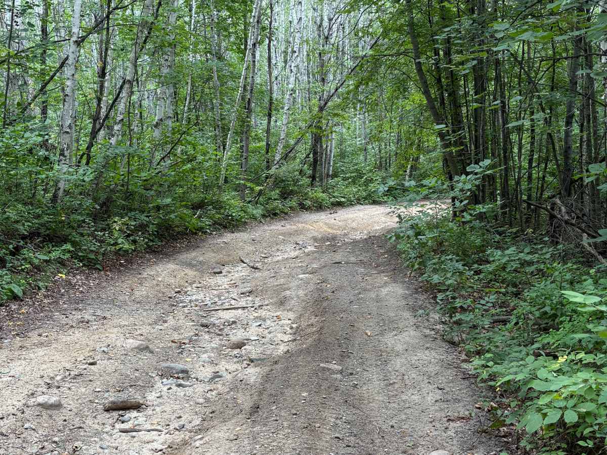 Camp 5 Trail photo 2