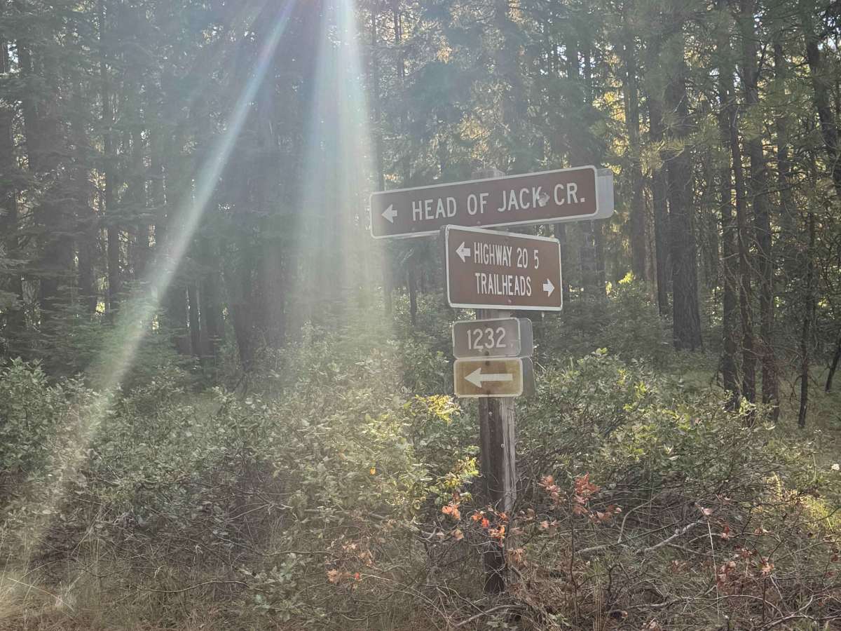 Jack Creek - FS 1232 trail photo