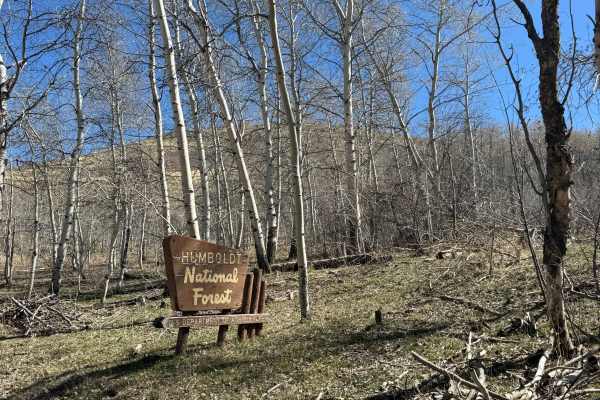 Trail Creek Road - FS 56729