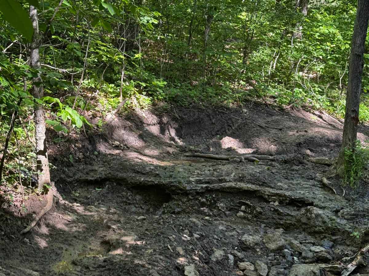 Inner Track 21 photo 4