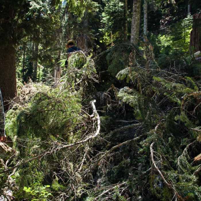 Near Whetstone Mountain Hike