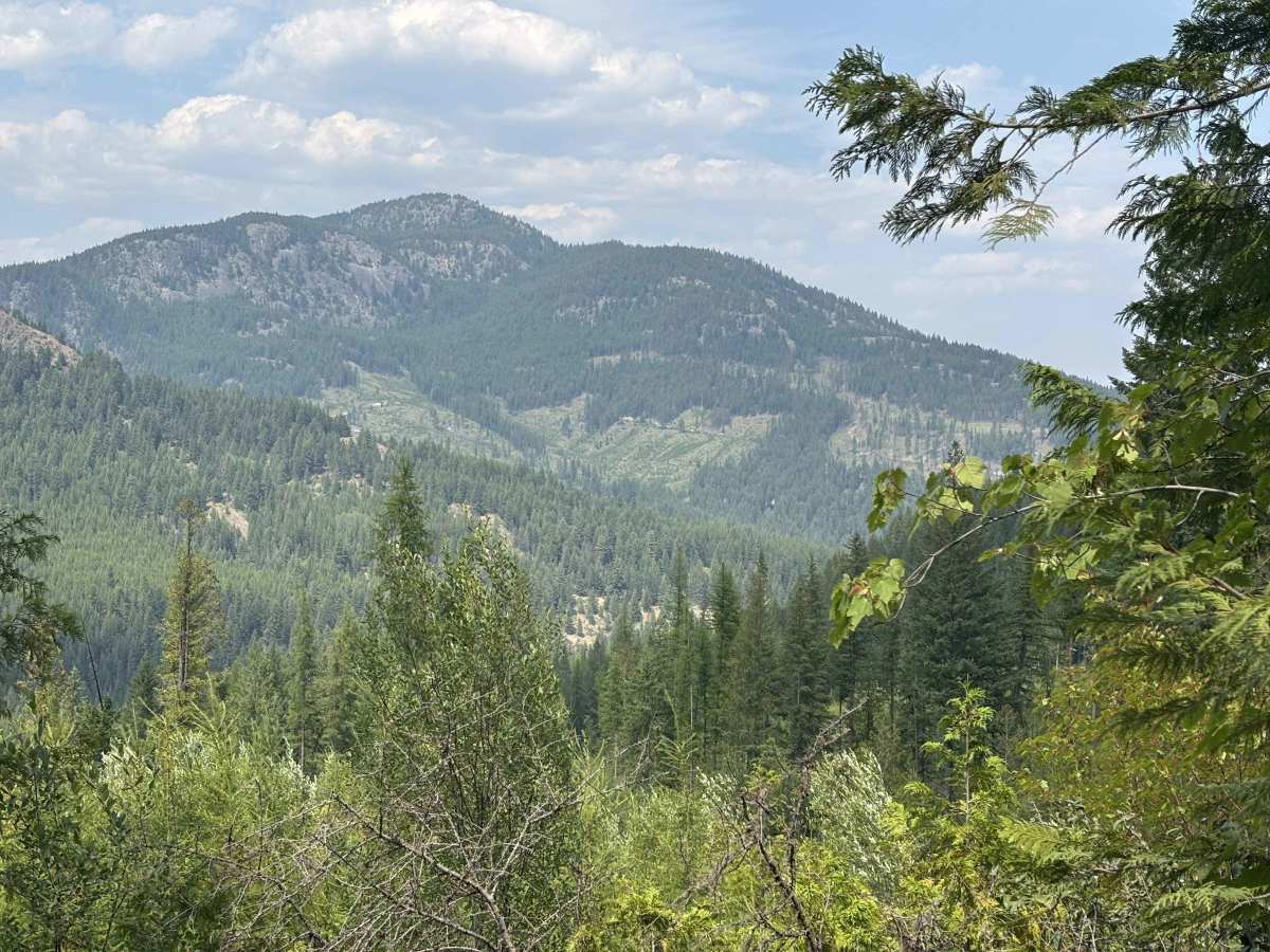 Conkle Lake photo 3