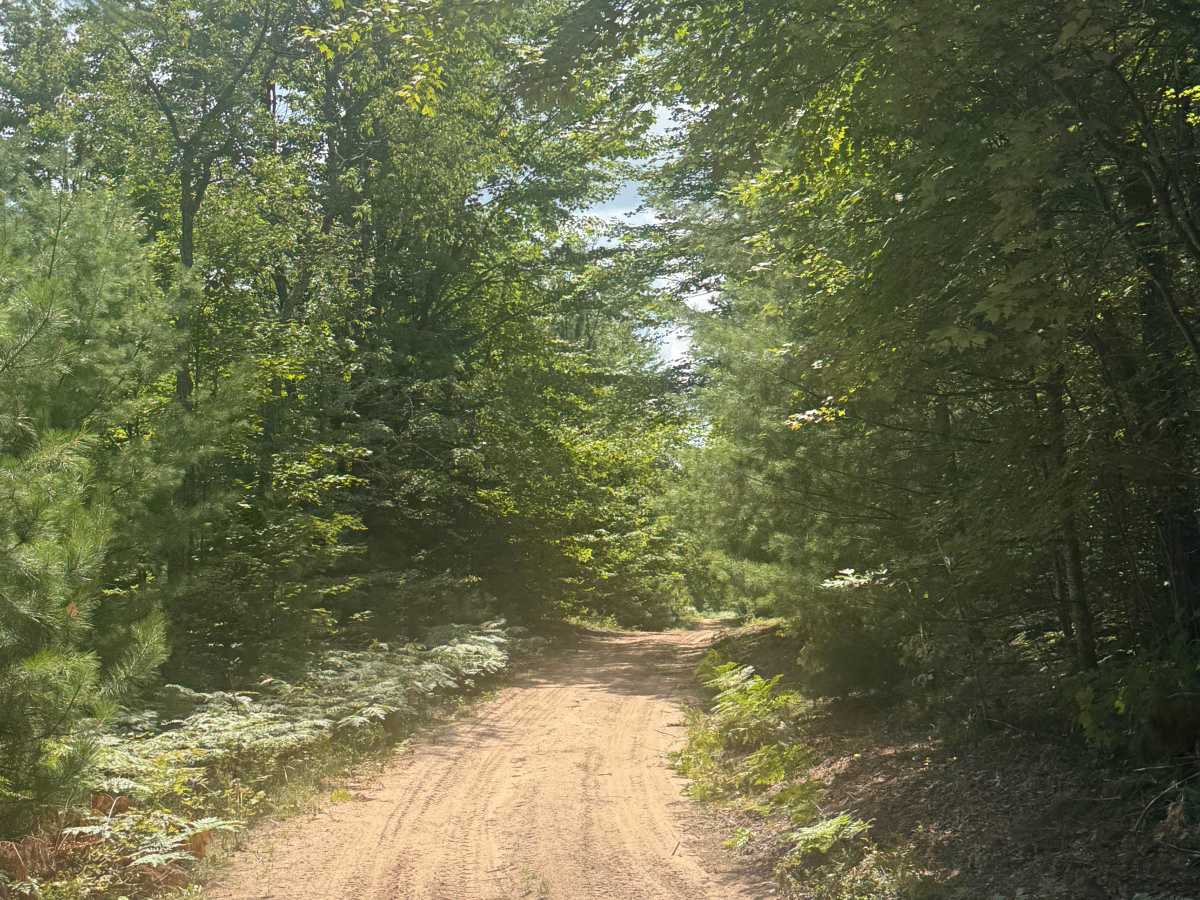 Deer Road Trail photo 3
