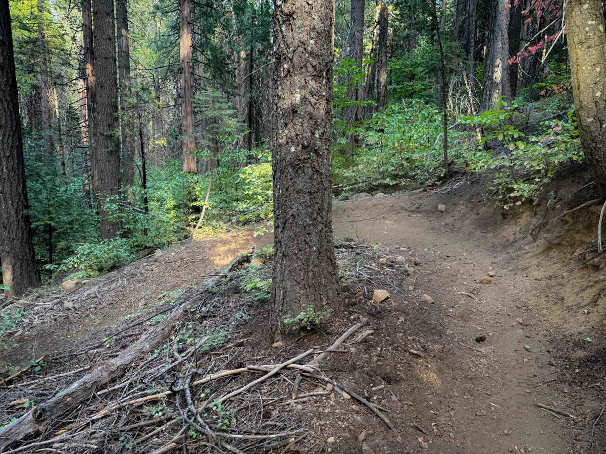 Deer Creek (#25)  trail photo