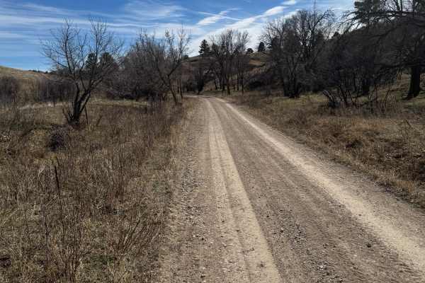 Kings Canyon Trail