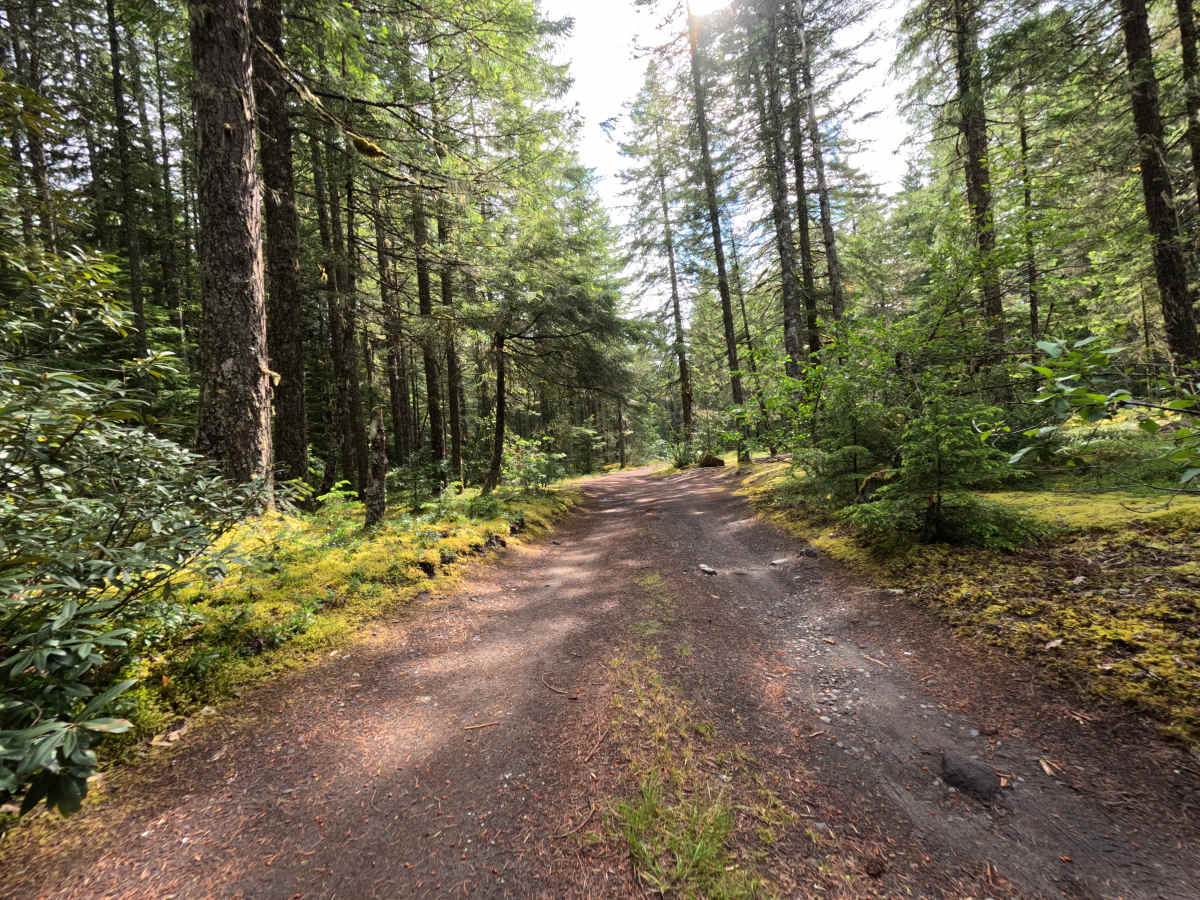 Camping Spur - FS 1825043 photo 6