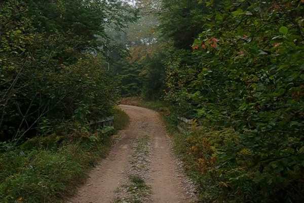 Paquinn Creek Road/ Sand Lake Road - FS 3374 (ORV Route A)