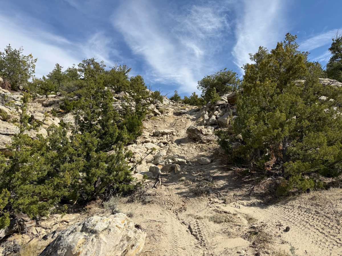 Tommy Trail photo 5