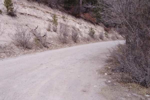 Bailey Canyon