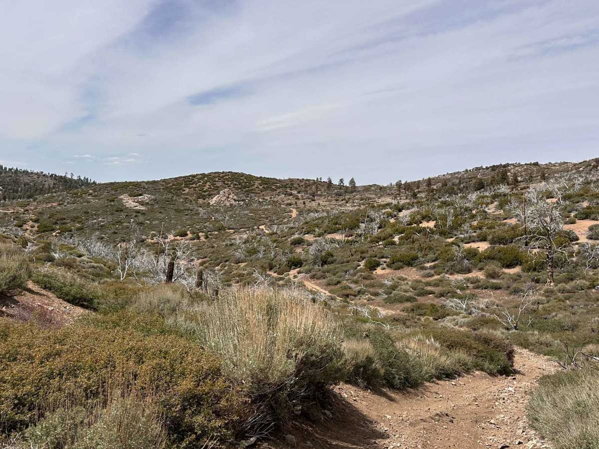 Prospector's Cutoff photo 5