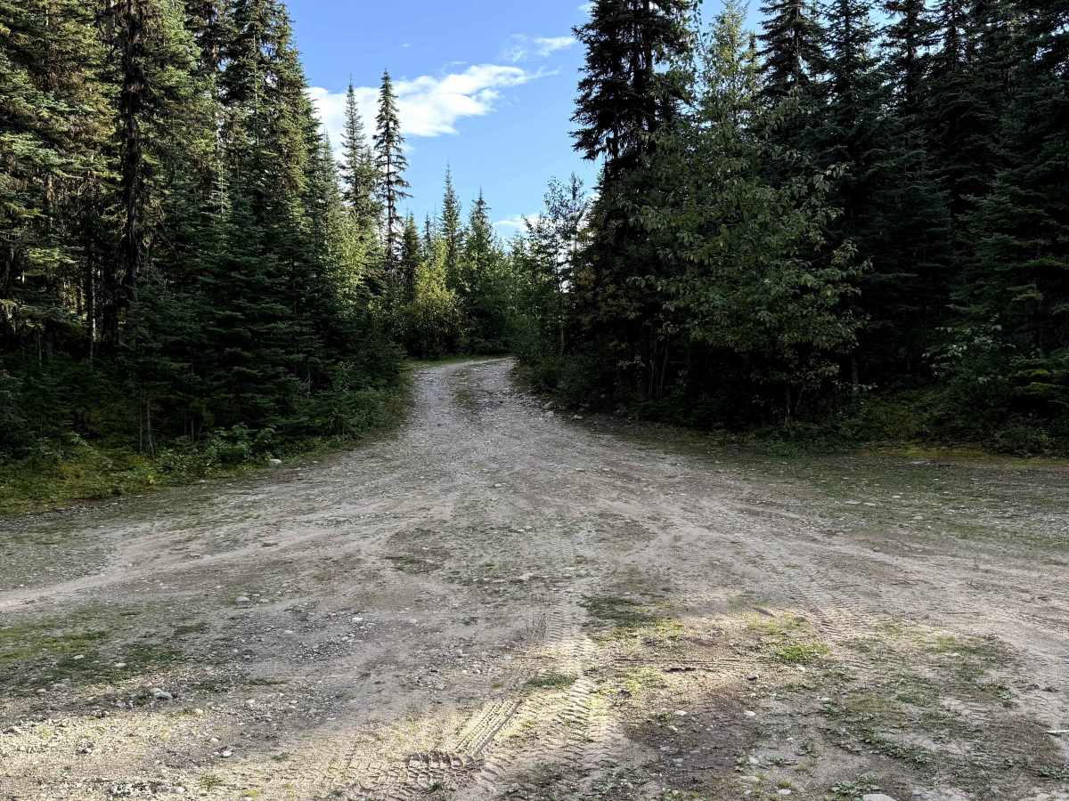 Crystal Lake trail photo