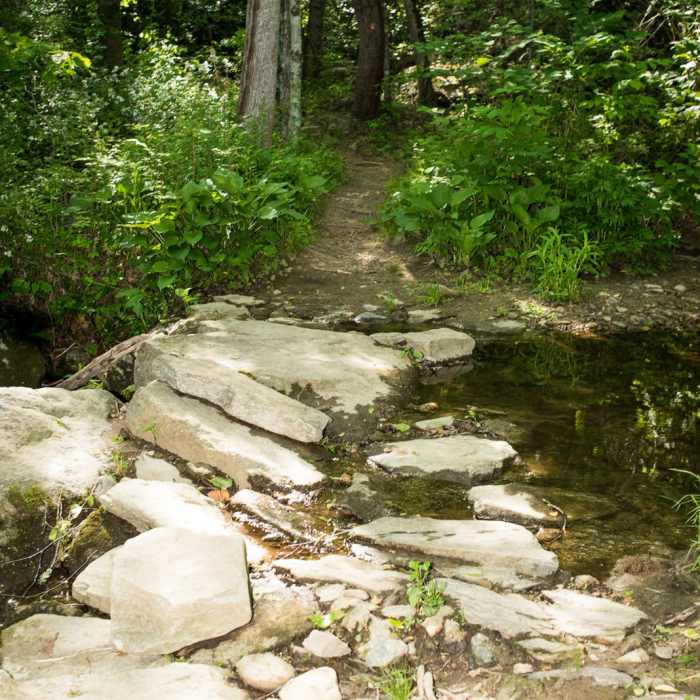 Near Little Bearwallow Mountain Near Little Bearwallow Mountain