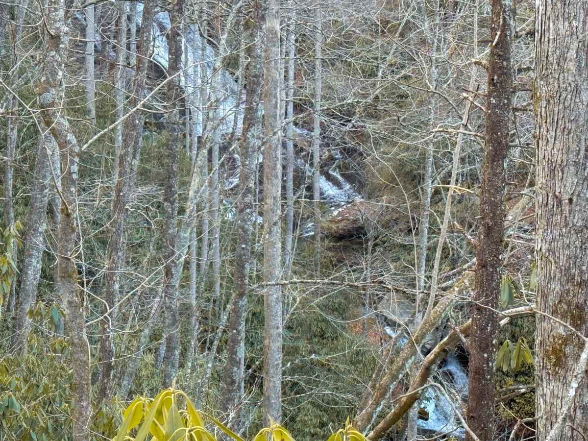 Cathey's Creek Road - FS 471 photo 3