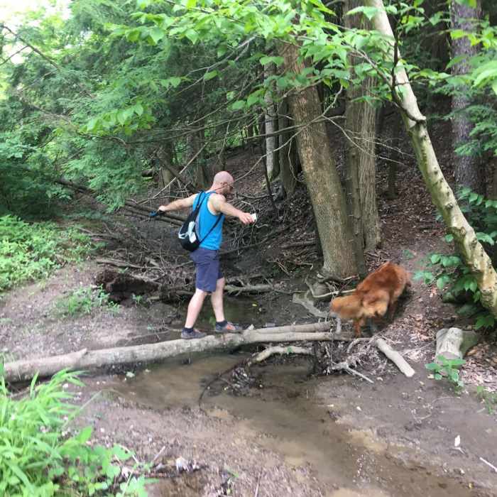 There are some fun trail obstacles at Chestnut Ridge Park. Near Chestnut Ridge Loop