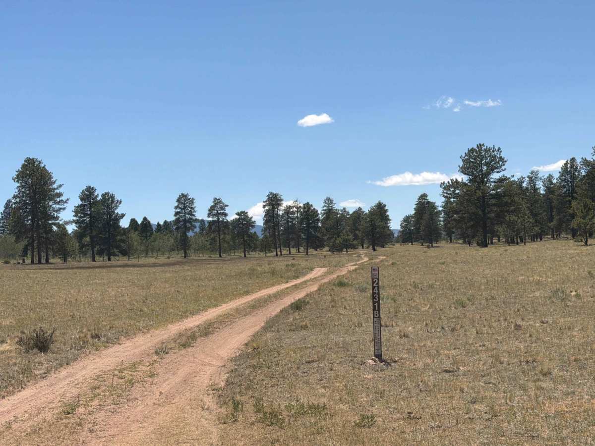 Wiggler Loop Road - FS 243.1B photo 2
