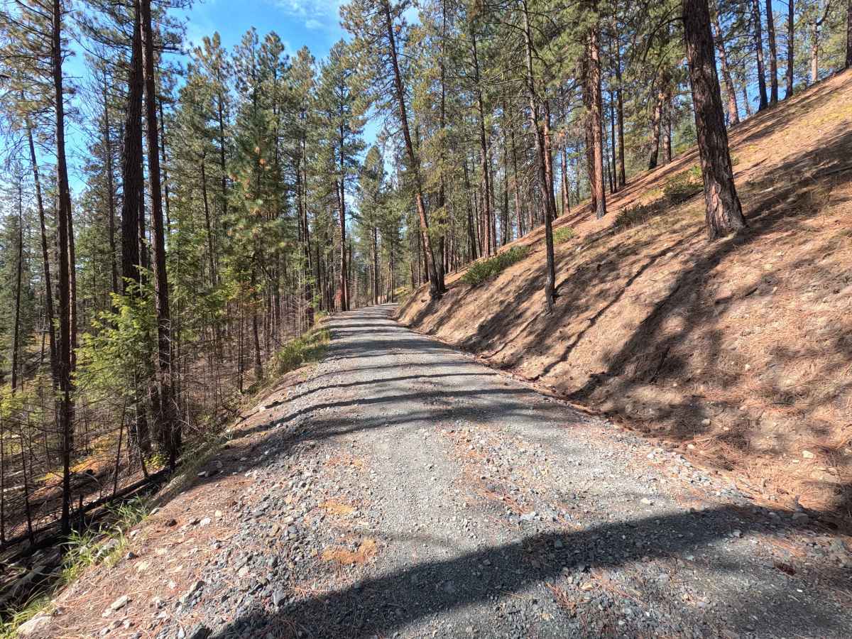 Blacktail Mountain Road photo 6