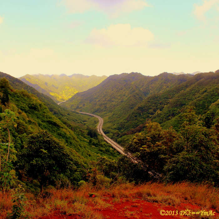 It's beautiful from high above H3. Near Aiea Loop
