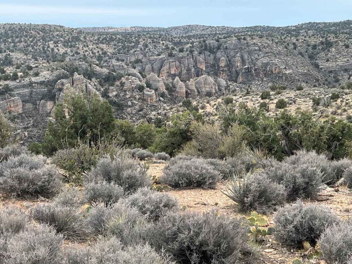 Hole-n-Wall Canyon - Segmiller Mountain trail photo