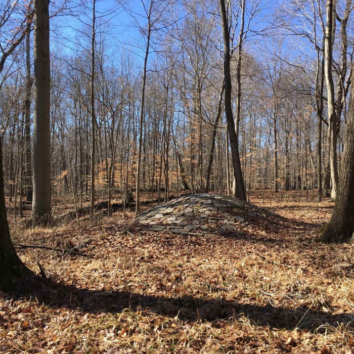 Near Stone Circle Trail
