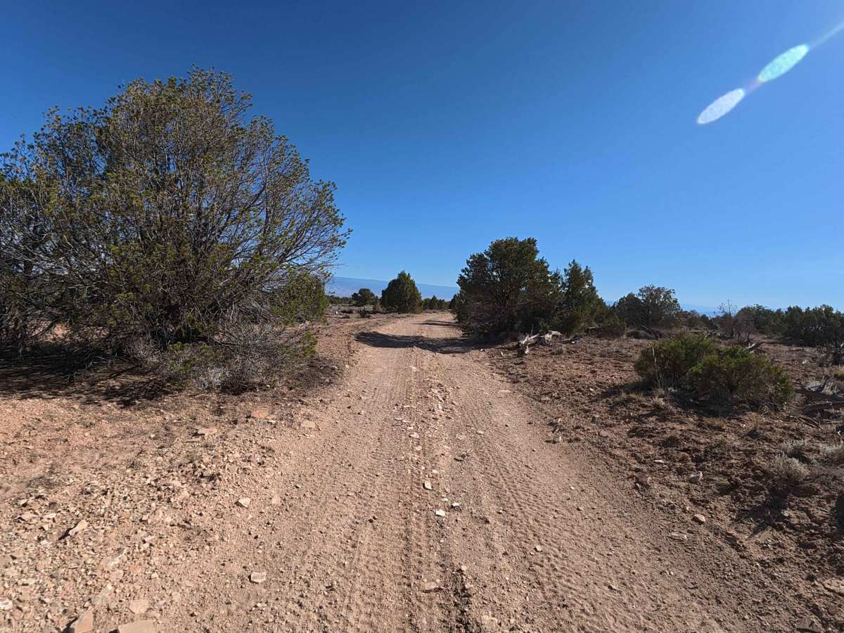 Rusty Nail Road - BLM 886 photo 3
