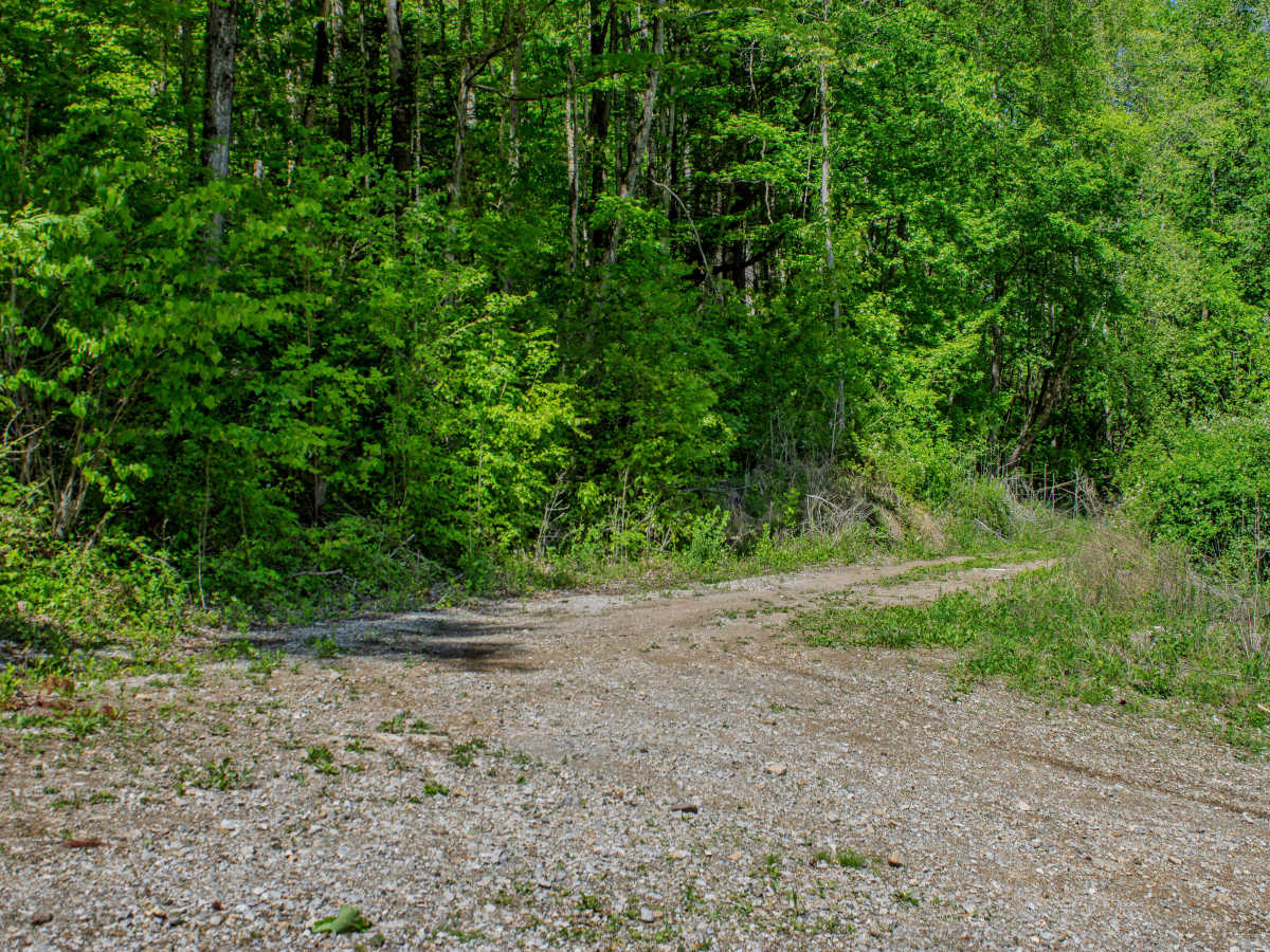 RBS19  photo 2