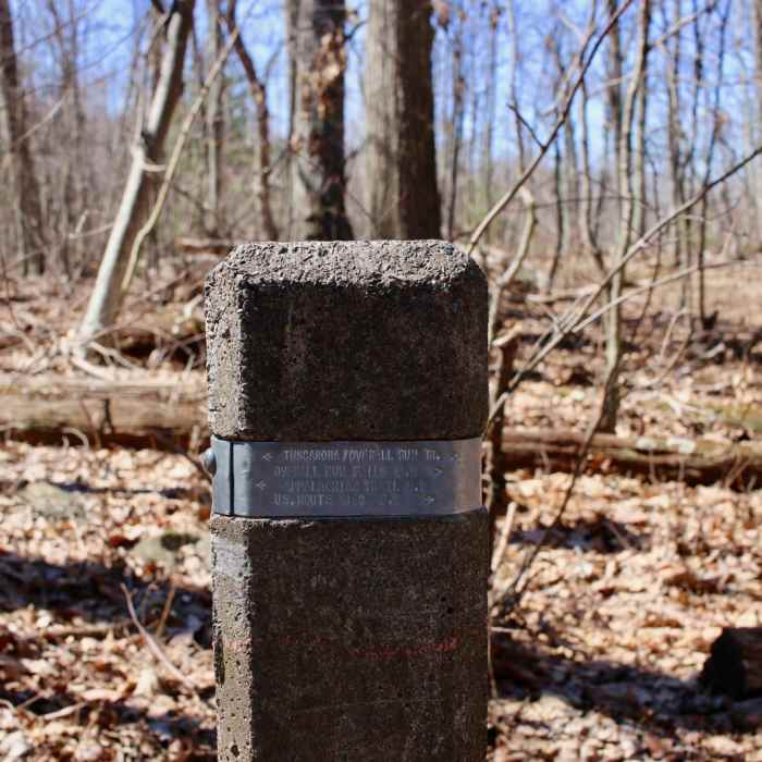 Near Overall Run Falls