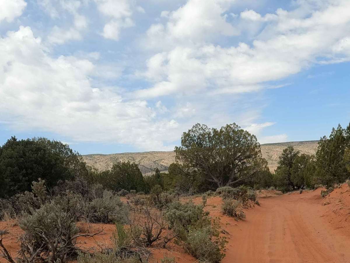 Paw Hole Road - NM1079 photo 3