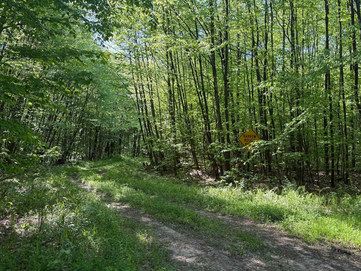 Dewdrop Trail - FS 263 photo 5