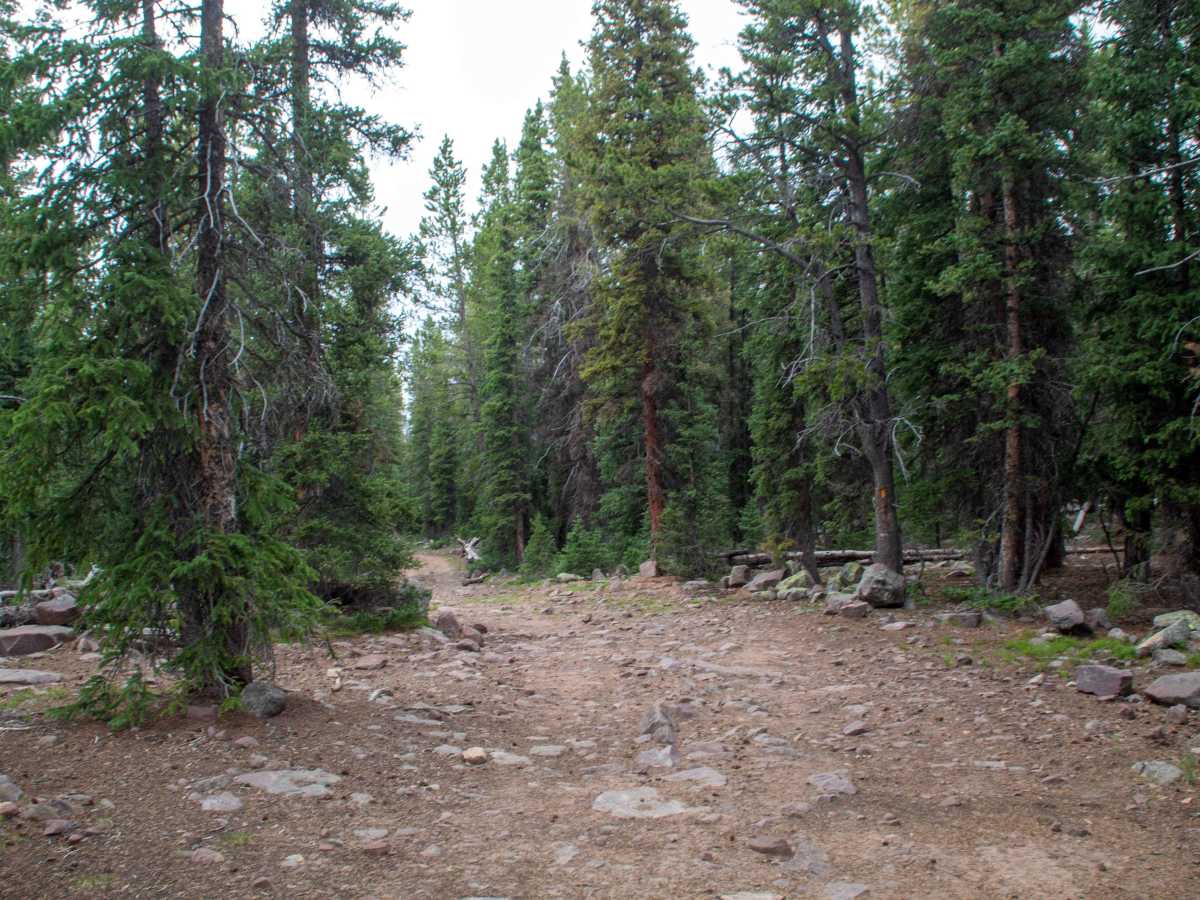 Johnson Creek - FS 10459 photo 4