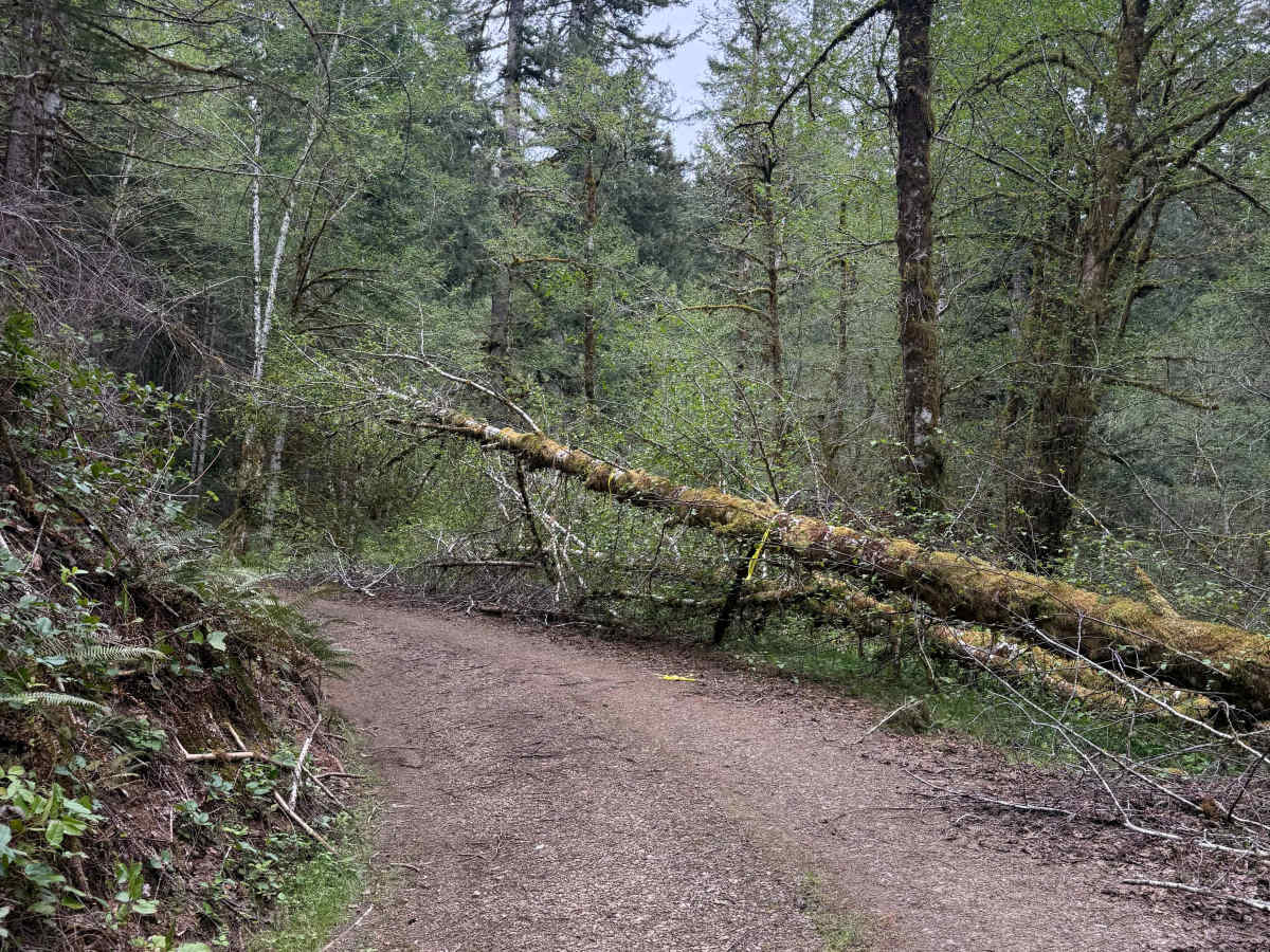 Nook Road photo 2