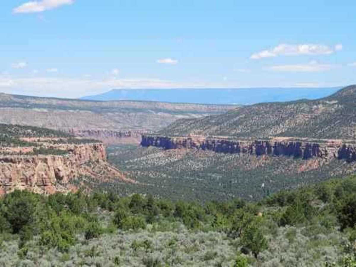 Escalante Canyon photo 6