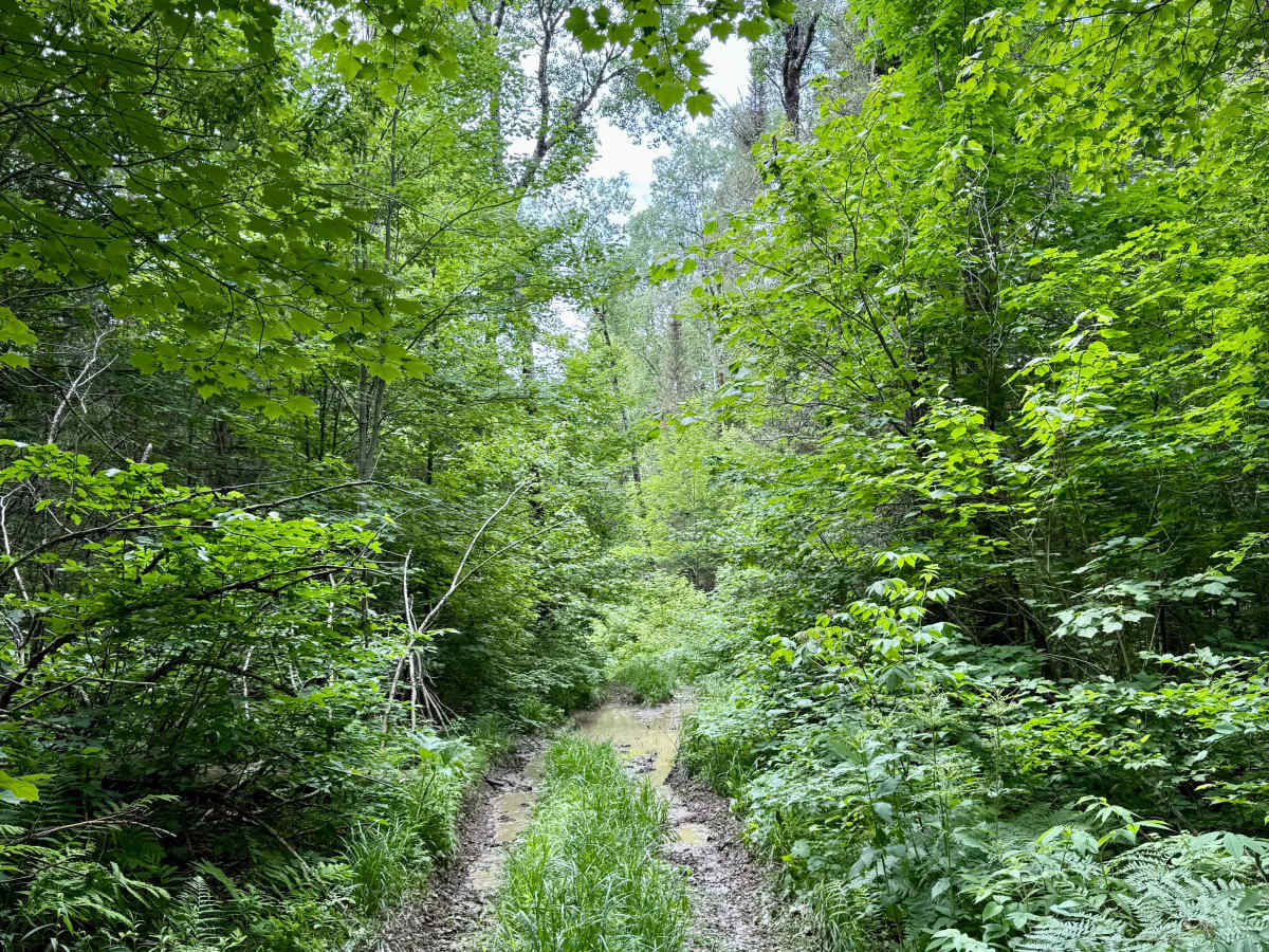 Perry Creek Passage photo 5