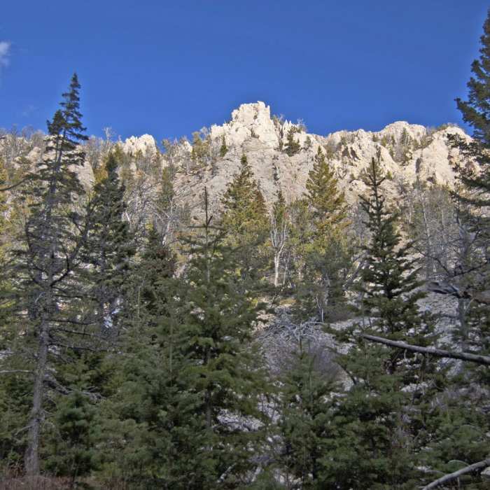 Near Baldy Basin Saddle via West Baldy Basin
