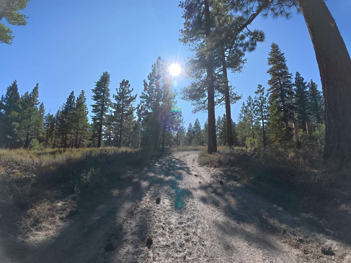 Big Springs Cutoff - FS 2S38 photo 4