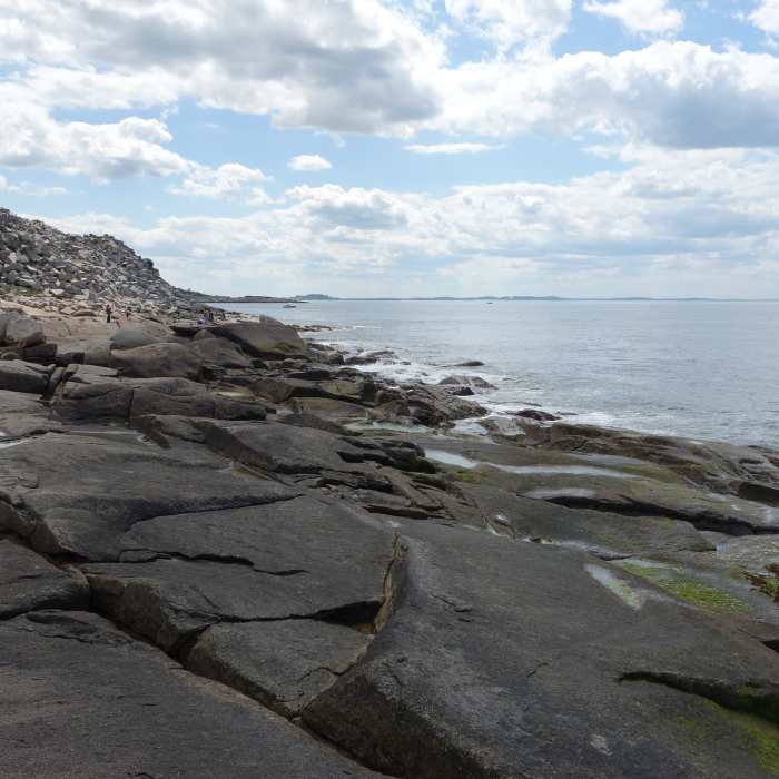 Halibut Point Near Halibut Point Loop
