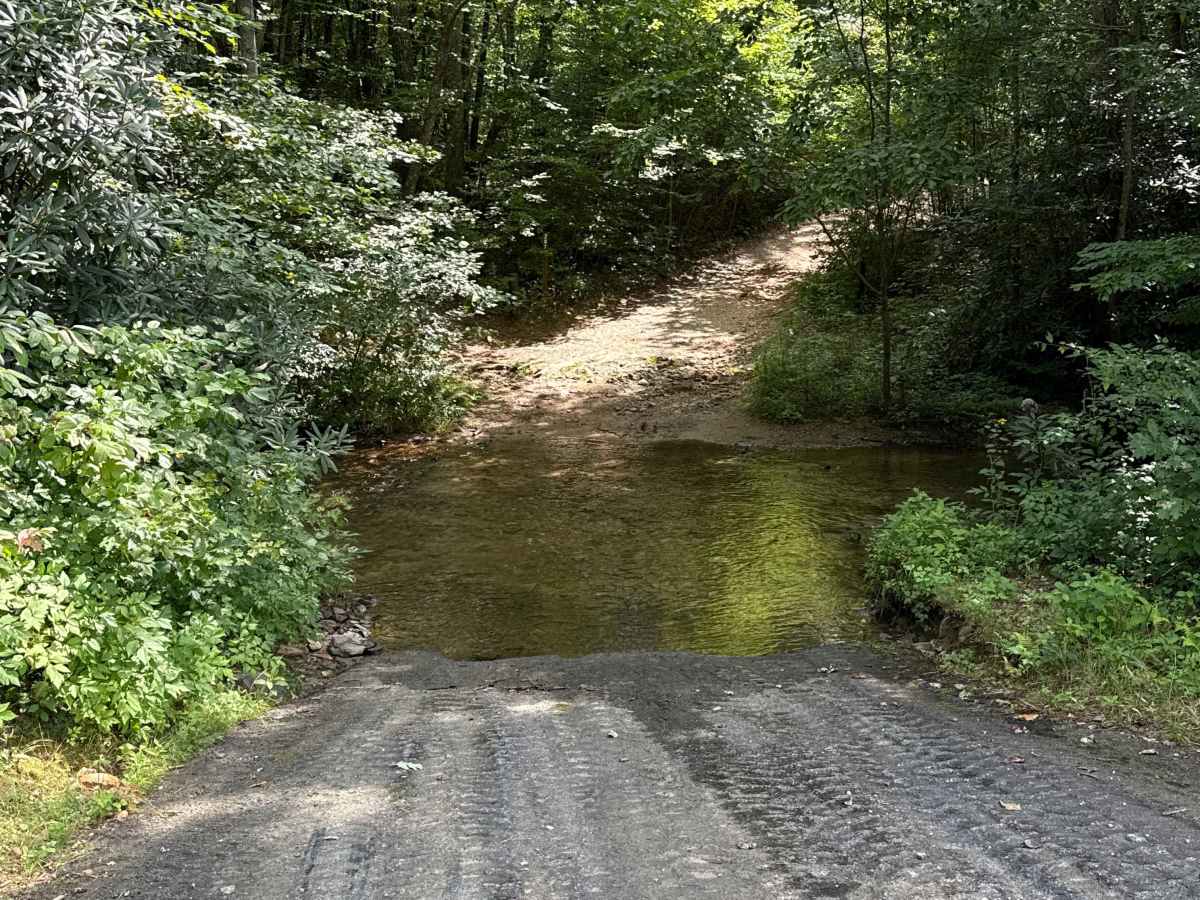 Gillespie Branch - FS 287 trail photo