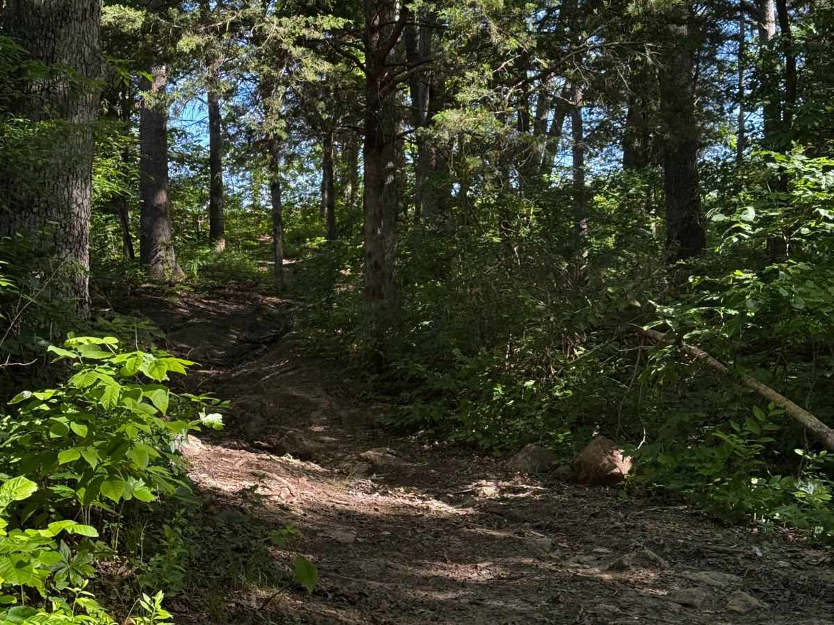 Inner Trail 14 trail photo