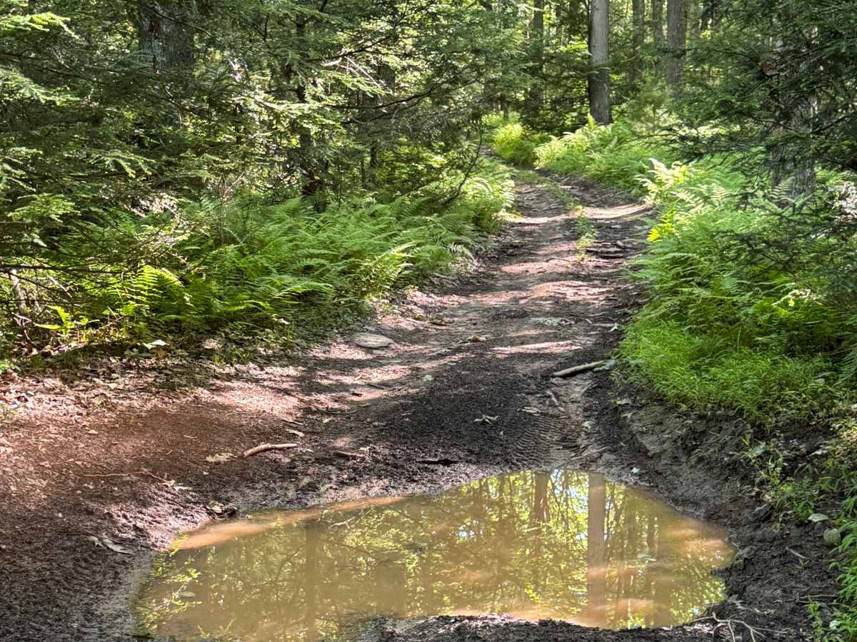 Pipeline Trail photo 4