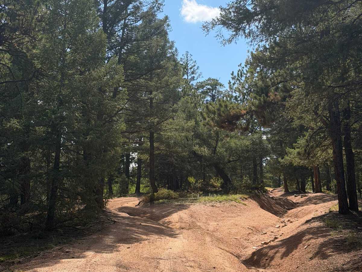 Hotel Gulch West trail photo