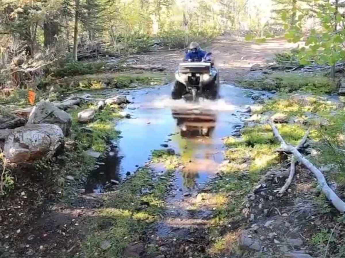 Pacer Lake ATV Trail - 34004 trail photo