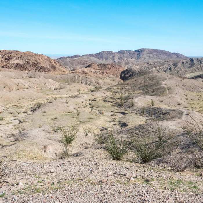 Near West Butte Mountain and the Slot