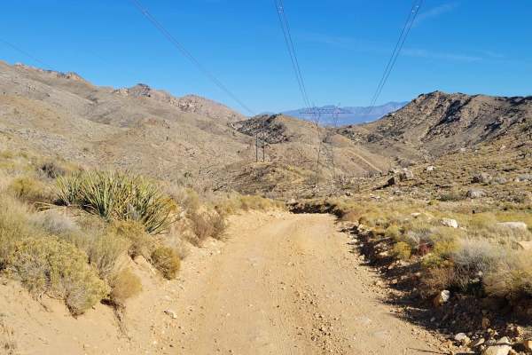 Joshua Tree Road