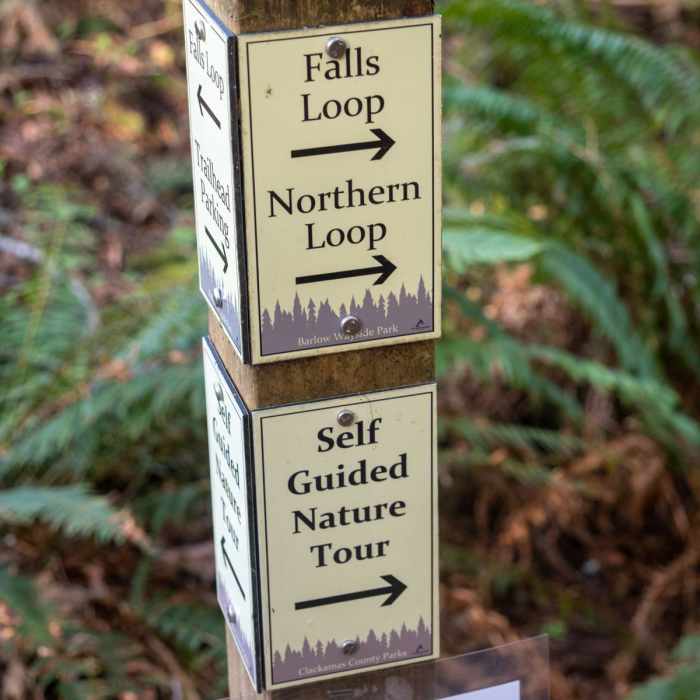 Near Falls Loop Trail