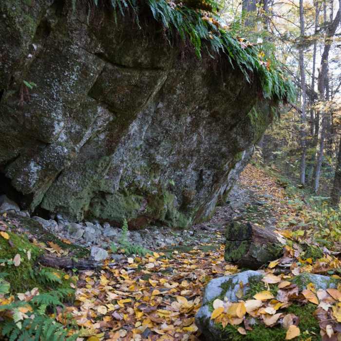Near Alum Cave Trail Loop Near Alum Cave Trail Loop